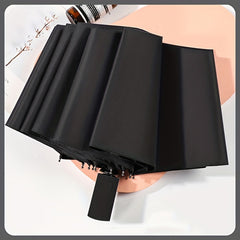 Ten Ribs Auto Open Close Travel Umbrella