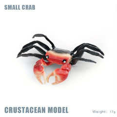 Hermit Crab & Crab Ornament Model
