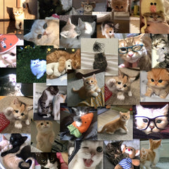 63pcs Cat Stickers High-Quality Adhesive Decals for Laptop Phone Car Planner