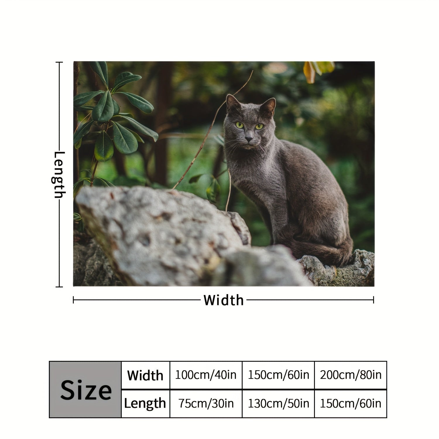 Cat Blanket Soft Comfortable Warm Lightweight Blanket for Home Bed