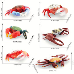 Hermit Crab & Crab Ornament Model
