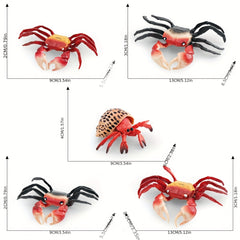 Hermit Crab & Crab Ornament Model