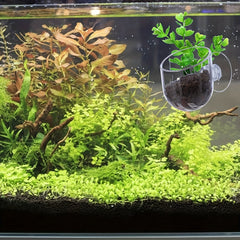 2pcs Red Worm Feeder Aquarium Plant Pot Plastic Fish Tank Plants Holder