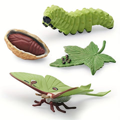 Moon God Moth Life Growth Cycle Toy Set