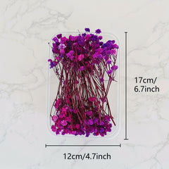 Dried Flower Bouquet Set - Real Naturally Dried Flowers for DIY Crafts