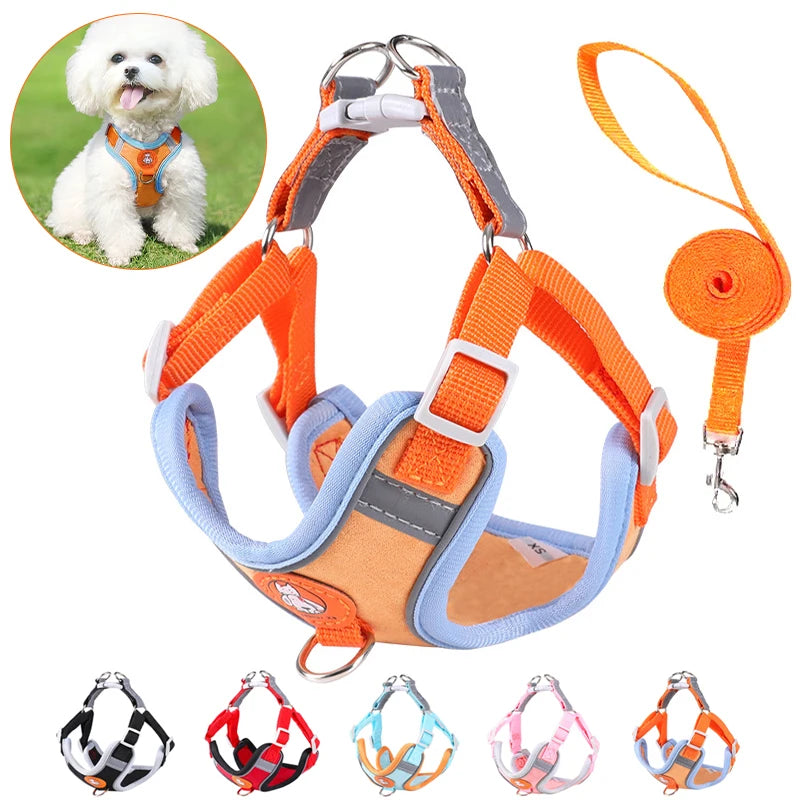 img_5036393