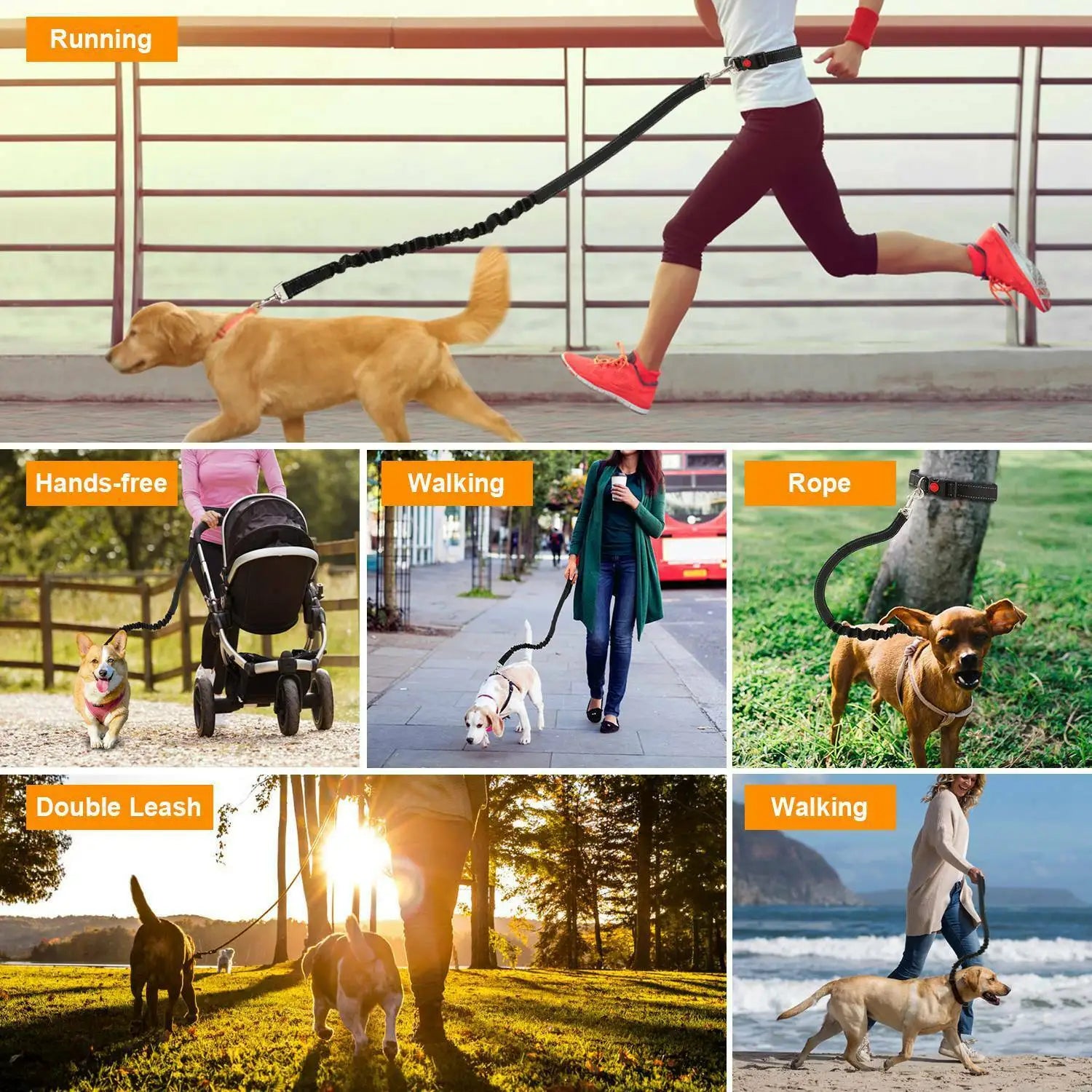 img_5037402