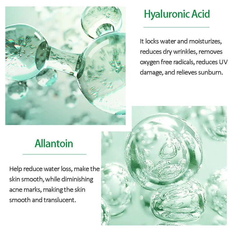 img_5048640