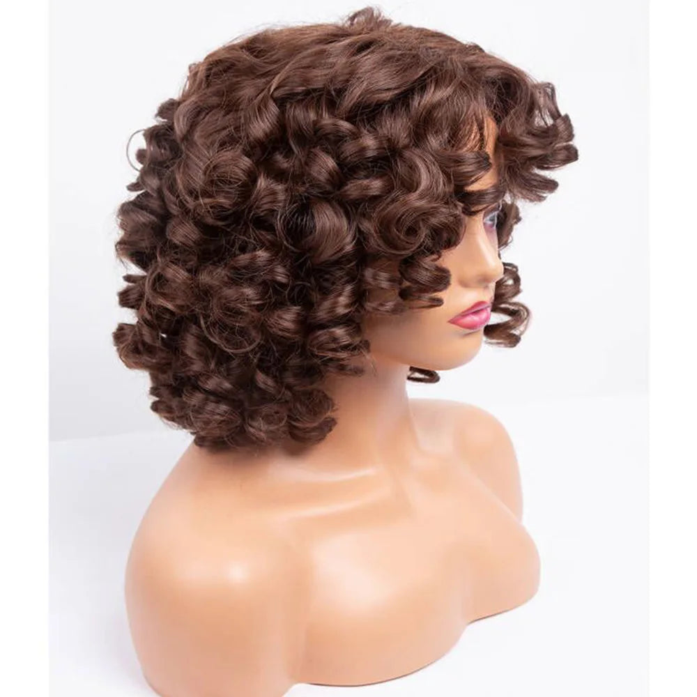 img_146537