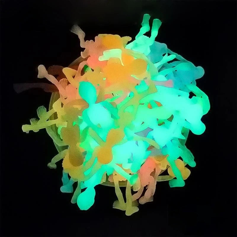 img_2866500
