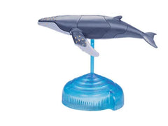 img_2767525