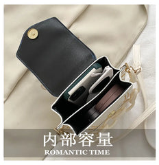 Autumn Mini Bag Handbag Hit Thick chain Single Shoulder crossbody bag