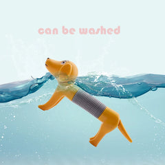 img_2875898
