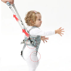 img_1248610