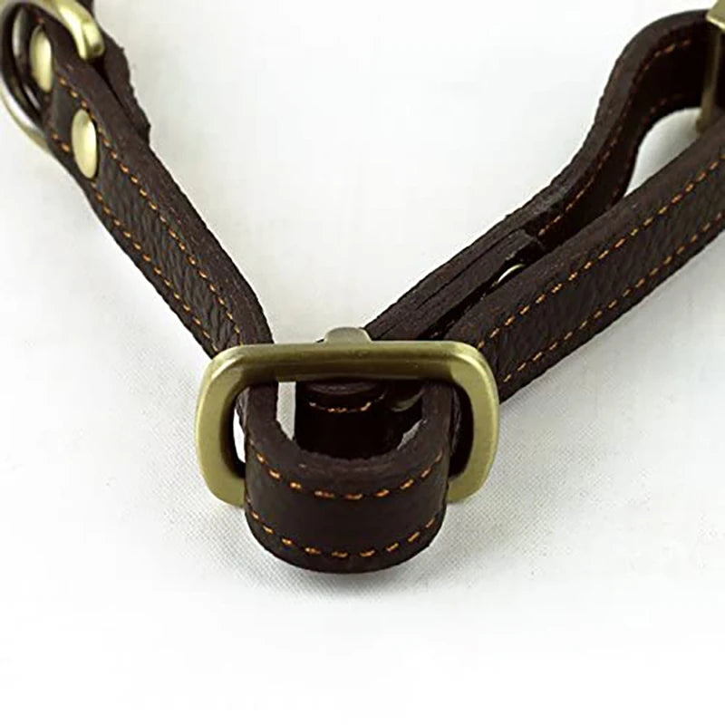 img_5009057