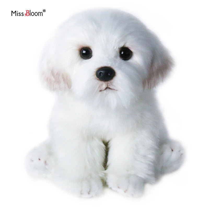 img_2916582