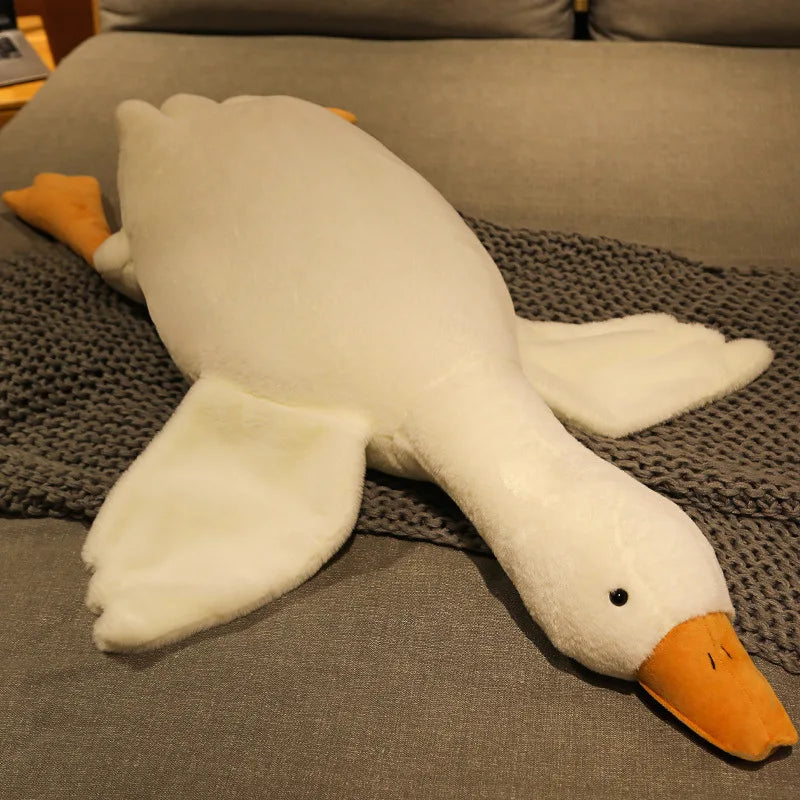 img_2933104