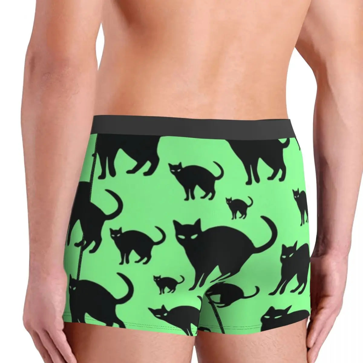 img_2595785