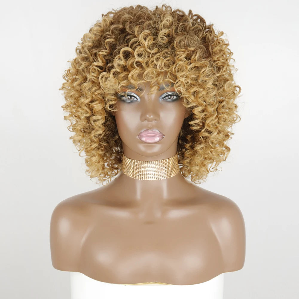 img_155118