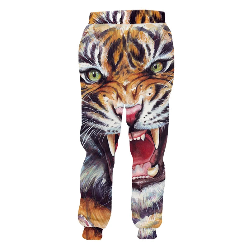 img_2648299