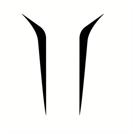 2pcs Car Racing Line Decals Racing Stripes Hood Decals Car Sticker