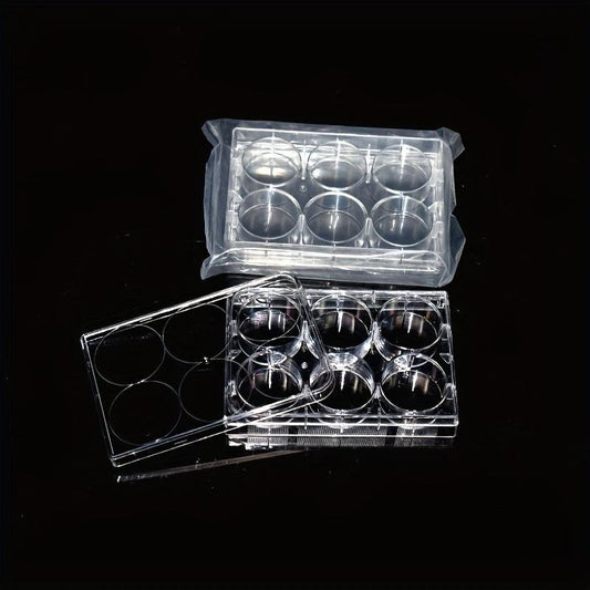 6-Well Flat Bottom Cell Culture Plate