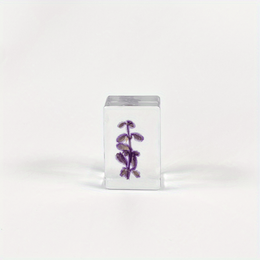 Transparent Amber Dried Flower Specimen & Resin Glue Kit