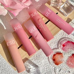 Waterproof Matte Lip Gloss Velvet Lip Mud Nude Chocolate Red Lip Tint