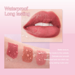 Matte Lipstick Lip Liner Pen Velvet Mist Lipstick Waterproof