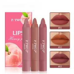 Matte Lipstick Lip Liner Pen Velvet Mist Lipstick Waterproof