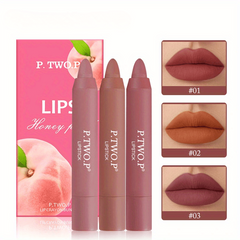 Matte Lipstick Lip Liner Pen Velvet Mist Lipstick Waterproof