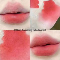 Matte Velvet Lip Glaze Waterproof Non Stick Cup Lightweight Breathable Lip Mud