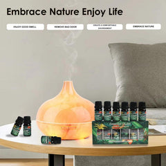 6 pack 10ml Natural Essential Oil Gift Set for Aromatherapy