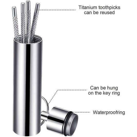 Stainless Steel Toothpicks Pocket Set with Keychain Holder