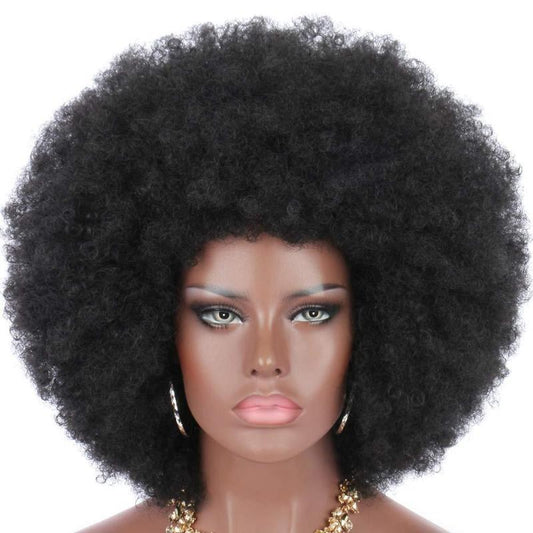 Short Afro Kinky Curly Hair Wig - Natural Looking Synthetic Wig for Women