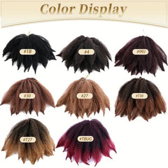Afro Kinky Crochet Hair Wig for Women