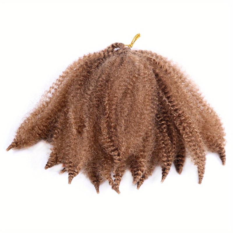 Afro Kinky Crochet Hair Wig for Women