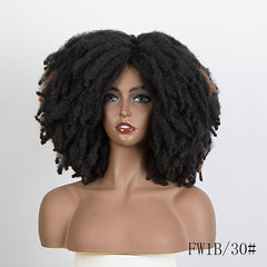 Afro Curly Wigs For Women Synthetic Kinky Curly Wig
