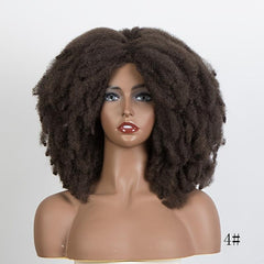 Afro Curly Wigs For Women Synthetic Kinky Curly Wig
