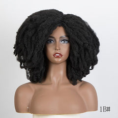 Afro Curly Wigs For Women Synthetic Kinky Curly Wig