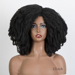Afro Curly Wigs For Women Synthetic Kinky Curly Wig