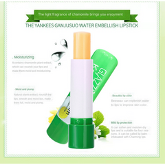 Chamomile Lip Balm for Moisturizing Lips in Autumn & Winter