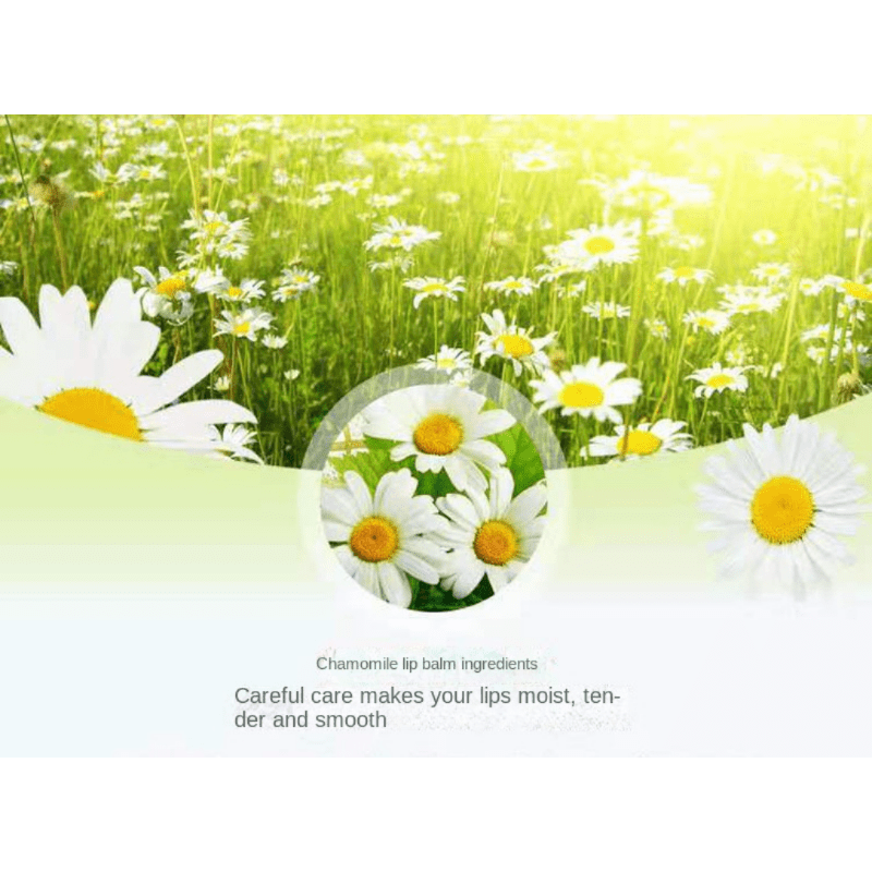Chamomile Lip Balm for Moisturizing Lips in Autumn & Winter