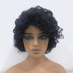 Soft Afro Curly Kinky Hair Wig For Women Girls Synthetic Rose Net Wig