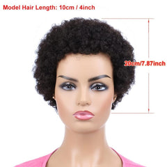 Afro Short Curly Wig for Men and Women