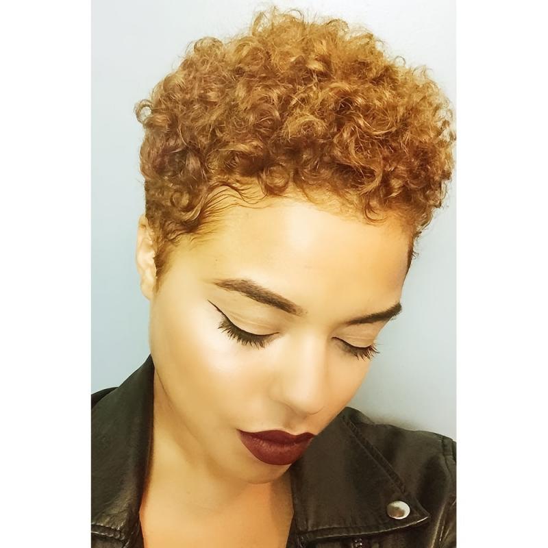 Afro Short Curly Wig for Men and Women