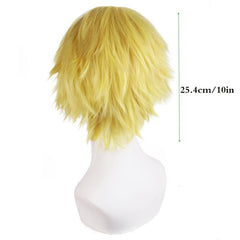 Short Curly Synthetic Wig With Bangs Anime Cosplay Wig