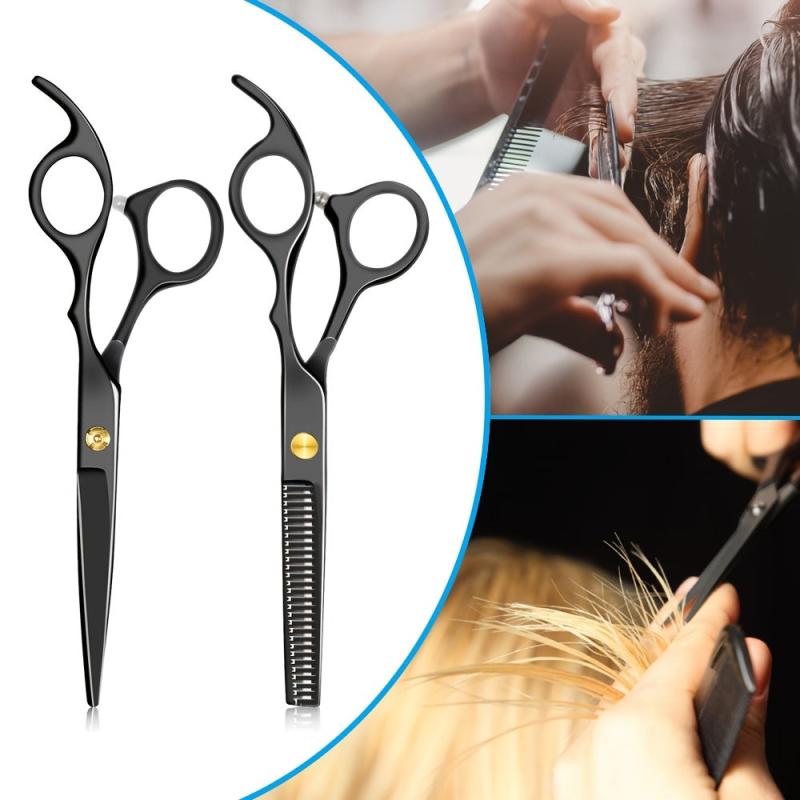 Professional Hair Cutting Thinning Scissor Set