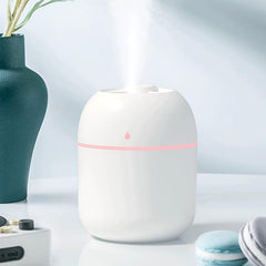 Quiet 220ml Portable Mini Humidifier for Bedroom Travel Office