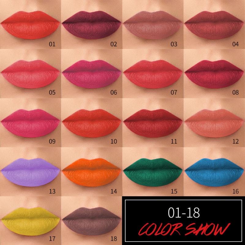 Matte Bullet Lipstick Waterproof & Smudge Proof Tube